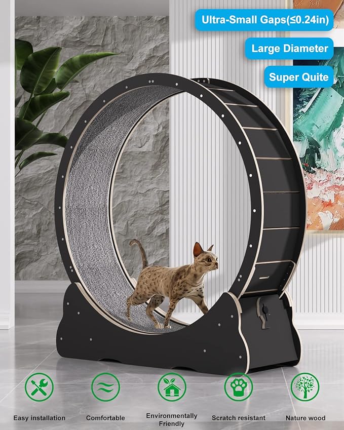 Cat Wheels for Indoor Cats. Extra Large Diameter Cat Treadmill. Made of Natural Solid Wood. Inside Diameter 40in/100cm. Including Installation Tools and Cat Teaser. (Black)