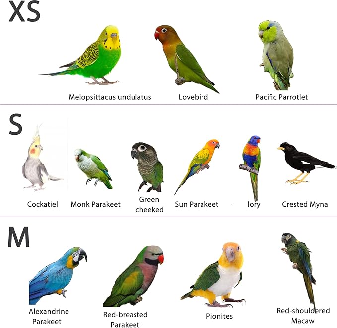 Parrot Diapers,Bird Flight Suits,Bird Clothes,Chinese Style Bird Diaper,Reusable Waterproof Diapers pet Bird Supplies 2PCS (M)