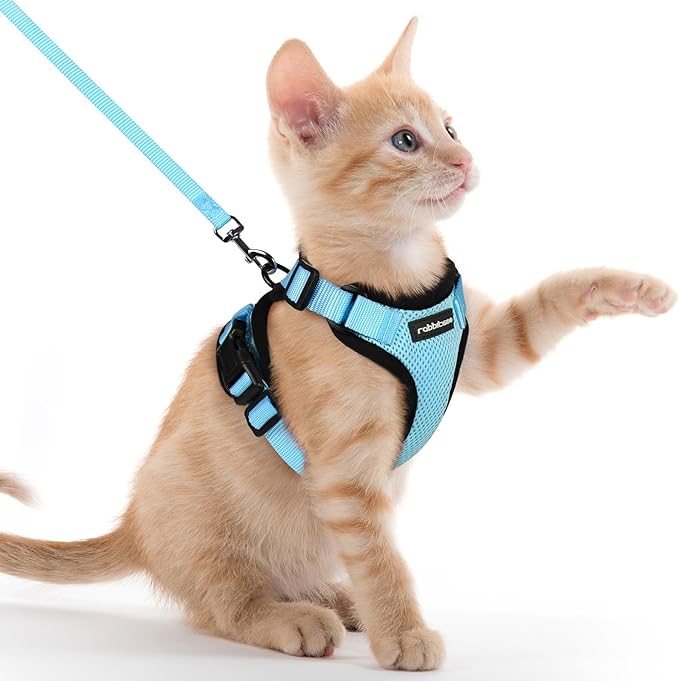 rabbitgoo Cat Harness and Leash for Walking, Escape Proof Soft Adjustable Vest Harnesses for Cats, Easy Control Breathable Reflective Strips Jacket, Light Blue, XXS