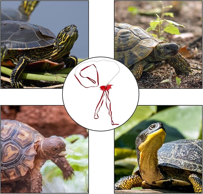 Turtle Wing Design Harness Strap Chest Collar Adjustable Rope Walking Control Rope Great for Turtle Reptile (Red Lï¼‰