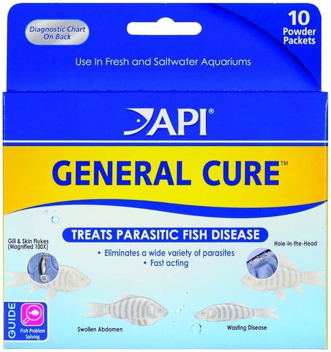 API Powder General Cure 20 pack