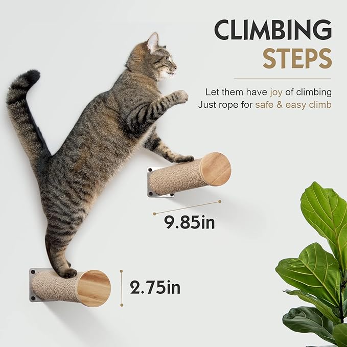 Cat Hammock Wall Mounted Large Cat Perch with 2 Cat Wall Steps - Cat Wall Shelves for Indoor Cats or Kitty - Premium and Modern Cat Furniture for Sleeping, Playing, Climbing (Grey)