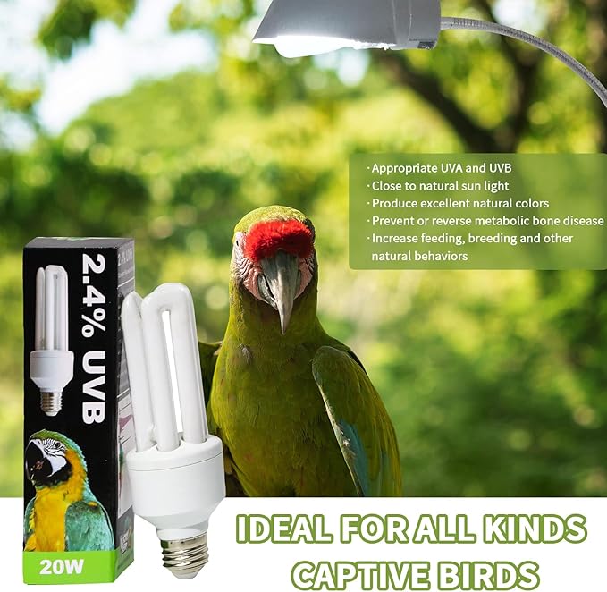 LUCKY HERP UVA UVB Light Bulb for Birds 2.4 UVB 20W Compact Flourescent Lamp for All Kinds Captive Birds