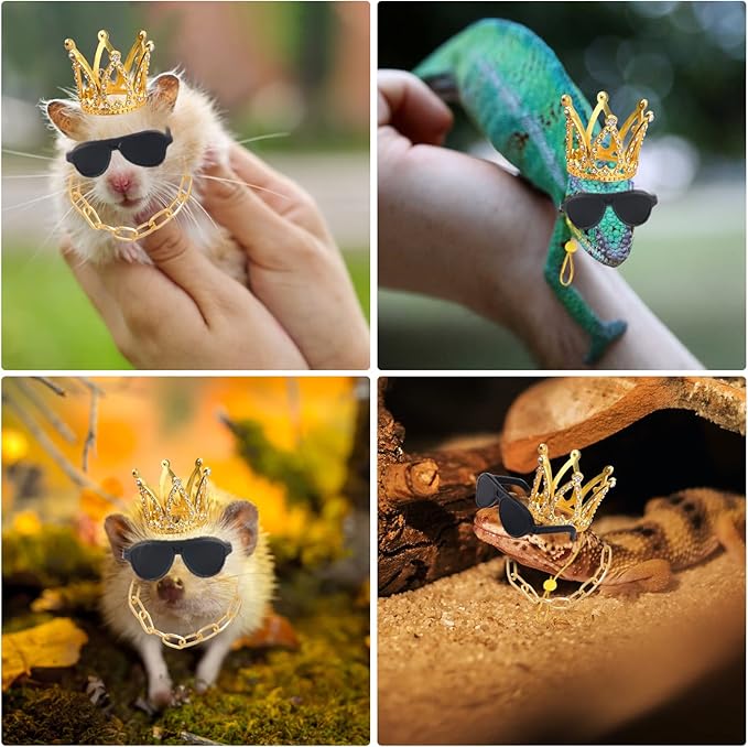 Bearded Dragon Accessories Set Including Crown Necklace Sunglasses with Adjustable Elastic Chin Strap Reptile Clothes Lizards Gecko Chameleon Iguana Frogs for Photo Props Birthday Gift