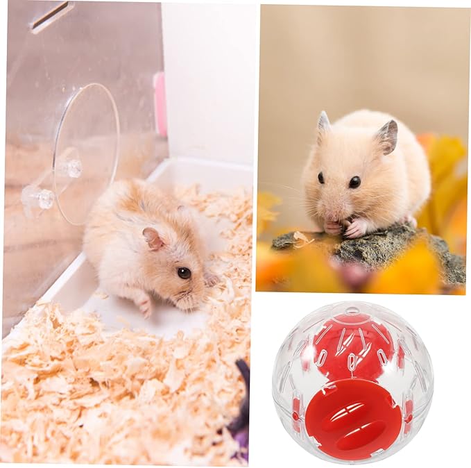 8 Pcs Small Hamster Sports Ball Hamster Stuff Small Animals Exercise Ball Small Hamster Ball Gerbil Ball Small Animals Running Balls Hedgehog Running Balls Hamster Running Balls