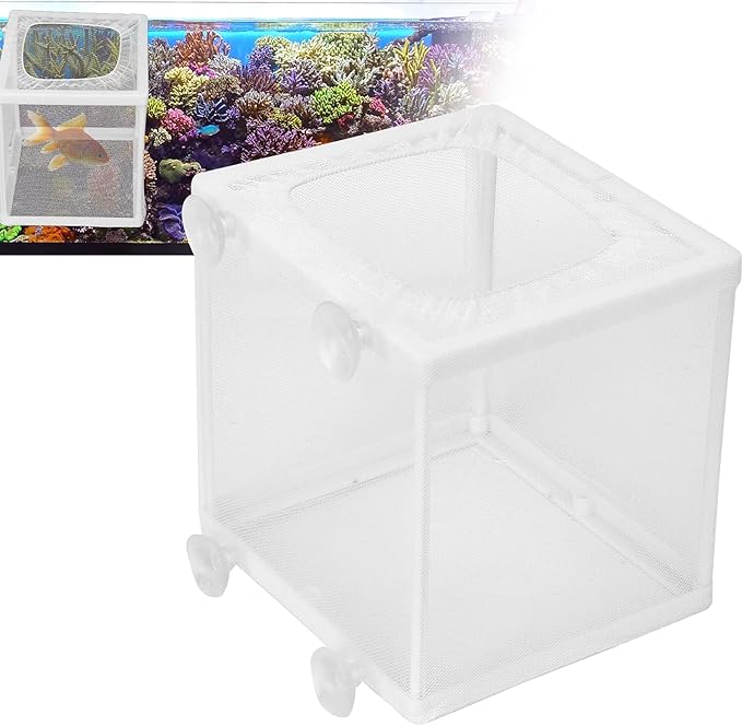 HEEPDD Aquarium Fish Breeder Box Isolation Box Breeder Hatchery Incubator with Suction Cup S