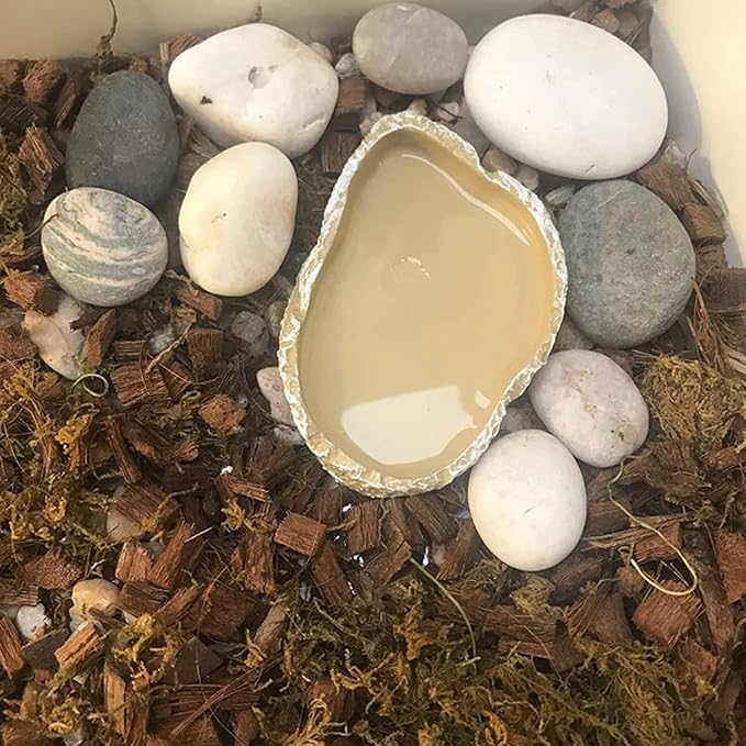 Shallow Reptile Dish Reptile Feeder Terrarium Bowls, Reptile Water and Food Bowls for Lizard Feeding Bearded Dragon Food Dish, Gecko Reptile Water Dish