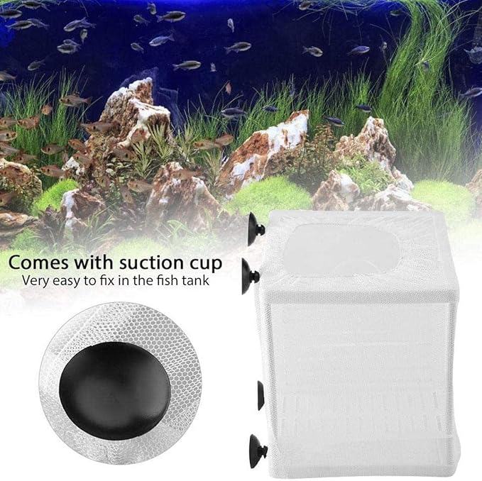 U/R Bbrand Aquarium Fish Breeder Box Fish Incubator Mesh Box Aquarium Breeding Hatchery Fish Tank Isolation Box Fish Breeder Box Young Fish Hatchery Incubator with Isolation Board (S)