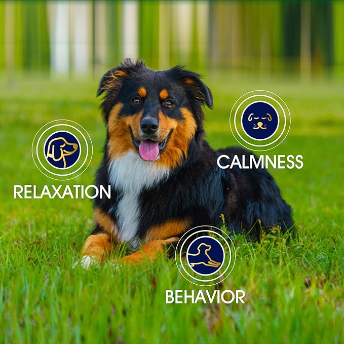 YUMA'S Hemp Calming Chews for Dogs - Advanced Dog Calming Treats - Dog Calming Chews - 45 Chews - Anxiety Relief Treats - Separation Aid, Barking, Stress Relief, Thunderstorms - Melatonin - Hemp Oil