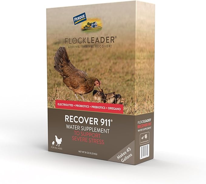 Recover 911, Severe Stress Probiotic Water Supplement for Chickens with Electrolytes, Prebiotics & Oregano, 8 oz