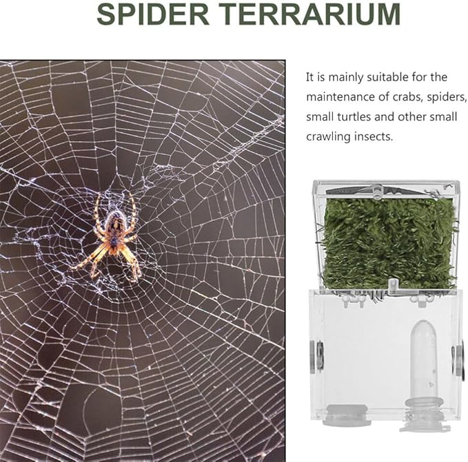 balacoo 4 Sets Jumping Spider Enclosure: Spider Cage Habitat Terrarium Micro Scorpion Droppers Reptile Hide Clear Jumping Enclosure Breeding Box Case with Breeding Tweezers Tank