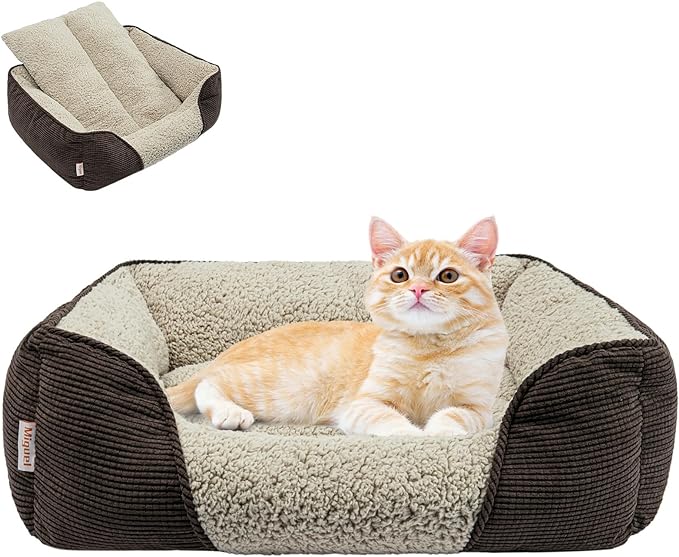 Miguel Washable Cat Beds for Indoor Cats with Removable Cushion, Easy to Wash Small Pet Sofa Bed with Side, Rectangle Bolster Kitten Bed Calming Cuddle Puppy Bed with Anti-Slip Bottom, Brown 20 Inch