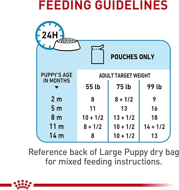 Royal Canin Size Health Nutrition Large Puppy Chunks in Gravy Wet Dog Food, 4.9 oz pouch (10-pack)