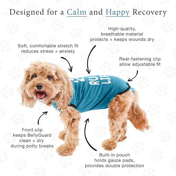 BellyGuard Recovery Suit for Dogs, After Surgery Dog Recovery Suit Female and Male, Soft Cotton Dog Surgery Suit Female Spay, Dog Surgical Recovery Suit Male Neuter, Comfy Surgical Onesie for Dogs.