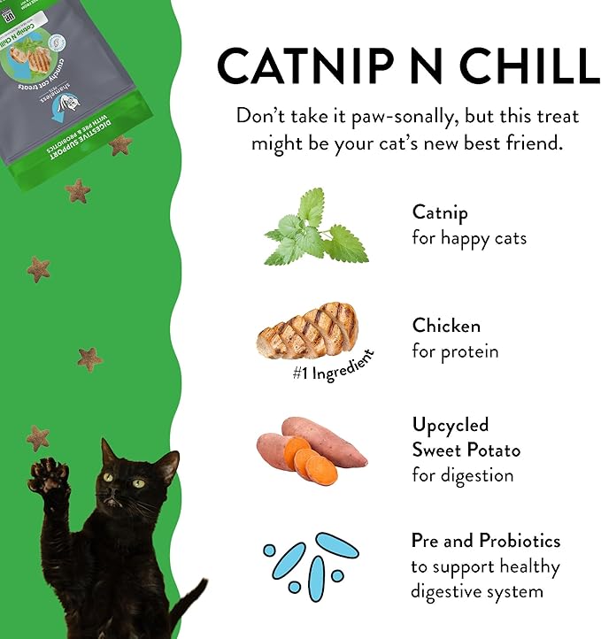 Shameless Pets Digestive Health Catnip Chicken Crunchy Cat Treats