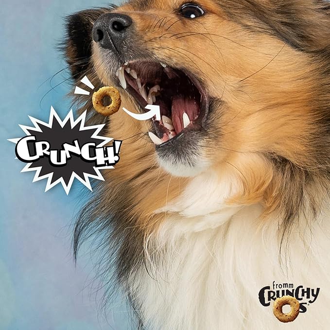 Fromm Crunchy Os Bacon Blasters Flavor Dog Treats - Premium Crunchy Dog Treats - Bacon Recipe - 6 oz