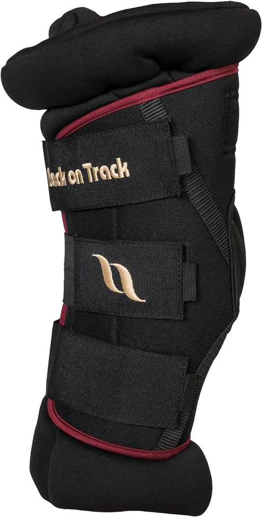 BACK ON TRACK Royal Padded Hock Boots Deluxe with Holes