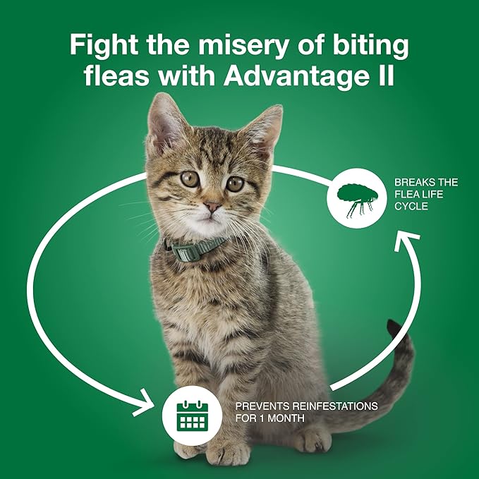 Advantage II Small Cat Vet-Recommended Flea Treatment & Prevention | Cats 5-9 lbs. | 8-Month Supply