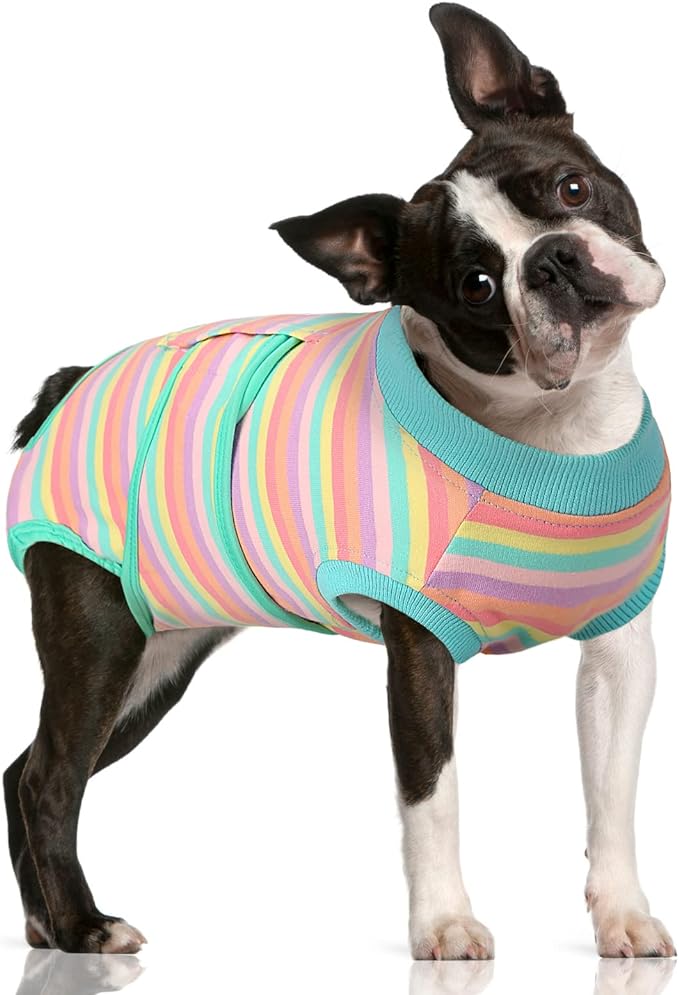 FUAMEY Recovery Suit for Dogs After Surgery,Soft Breathable Dog Bodysuit E-Collar & Cone Alternative Surgical Suit,Male Female Dog Neuter Spay Suits Anti Licking Wounds Onesie Mint Green Stripes L