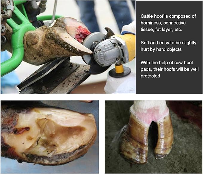 Cow Trimming Pad, 2Pcs Wearproof Soft Hoof Pad Reduces Hoof Sole Abrasions Rubber Hoof Pad for Pasture and Cow, 4.3x2.1x0.8in Hoof Triming Pad