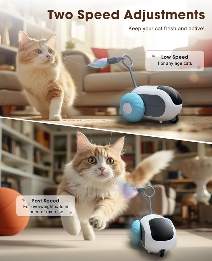 Cat Toys for Indoor Cats, Smart Interactive Cat Toy with 2-Speed Adjustment, Remote Control & USB Rechargeable Automatic Cat Exercise Toys for Bored Indoor Adult Cats Kittens (Blue)