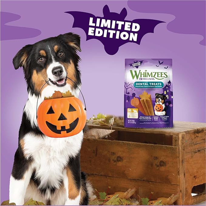 Whimzees by Wellness Halloween Natural Dental Chews for Dogs, Long Lasting Treats, Grain-Free, Freshens Breath, Medium Breed, 6 count