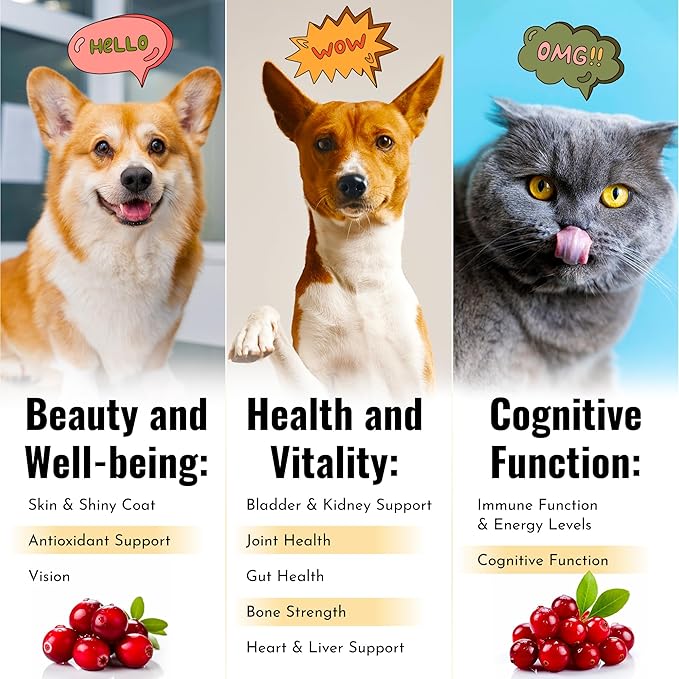 Cat Multivitamin | Dog Vitamins and Supplements | Cat Supplements & Vitamins | Multivitamin for Dogs | Pet Honesty Multivitamin 10-in-1 | Dog Supplements & Vitamins | Vitamins for Dogs | 3 Pack