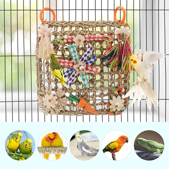 Hypeety Bird Toys Parrot Foraging Toys Bird Chew Toys Parakeet Shredding Seagrass Climbing Mat with Various Toys for Conure, Cockatiel, Lovebird, Parakeet, Budgie (L(Carrot))