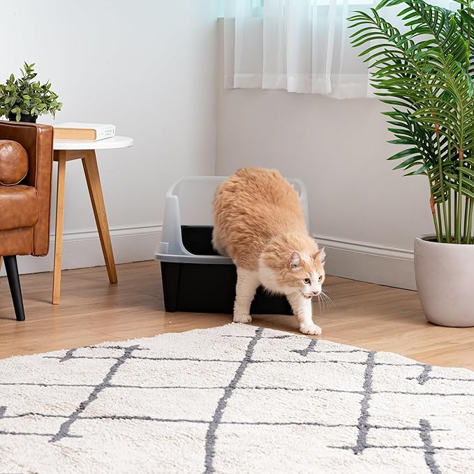 IRIS USA Extra Large Cat Litter Box with Scatter Shield, Open Top High Sided Cat Litter Pan, Black