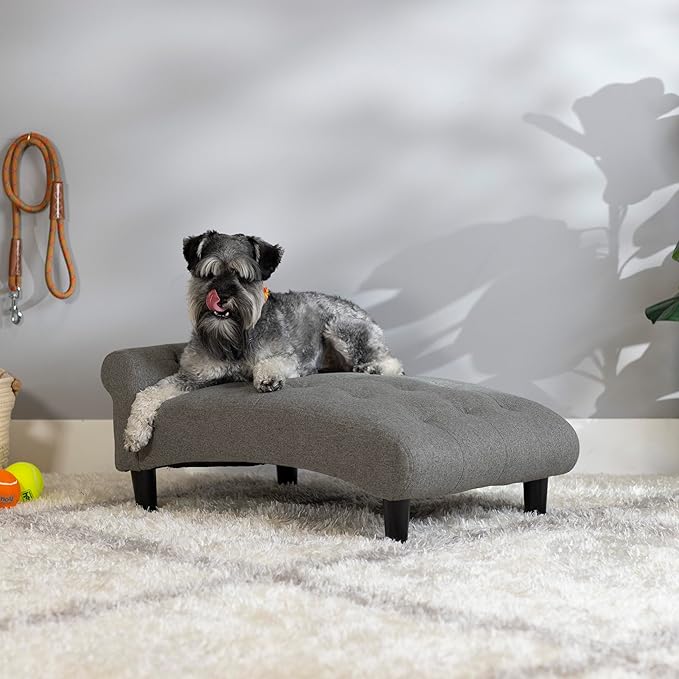 Paws & Purrs Modern 21" Wide Pet Chaise Lounge Bed for Small to Medium Dog or Cat, 28.8" L x 20.3" W x 13.3" Th, Gray