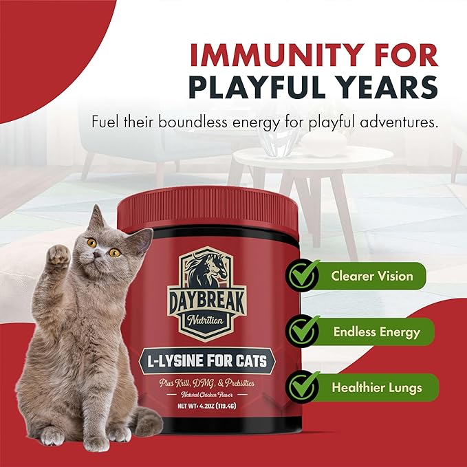 L-Lysine for Cats and Kittens - 900 mg L Lysine Powder for Cats for Immunity & Respiratory Support - Cat Supplement with L-Lysine, Prebiotics, Krill, & DMG for Immune System, Eye Health & Sneezing