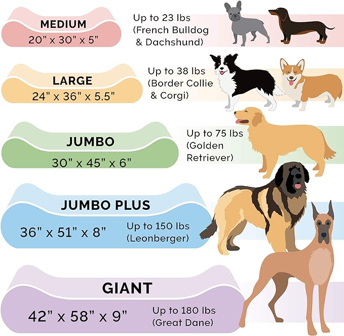 Furhaven Memory Foam Dog Bed for Medium/Small Dogs w/ Removable Washable Cover, For Dogs Up to 23 lbs - Ultra Plush Faux Fur & Suede Luxe Lounger Contour Mattress - Cream, Medium