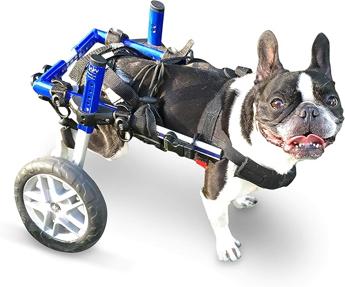 Walkin' Wheels Small Dog Wheelchair, Lightweight Dog Wheelchair for Back Legs, 15-25 lbs, for 6-8 inches Leg Height - Blue