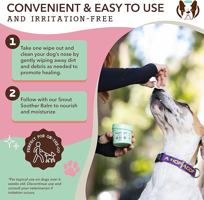 Natural Dog Company Snout Wipes for Dogs