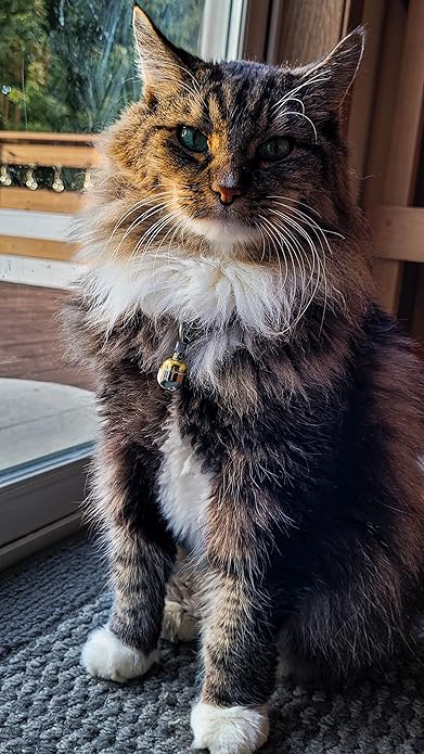 Handmade in USA, Extra Loud Multifaceted Clacker, Collar Bell for Cats and Dogs, Premium Brass and Nickel Silver