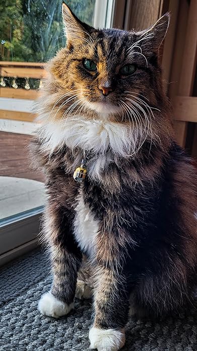 Handmade in USA, Extra Loud Multifaceted Clacker, Collar Bell for Cats and Dogs, Premium Brass and Nickel Silver