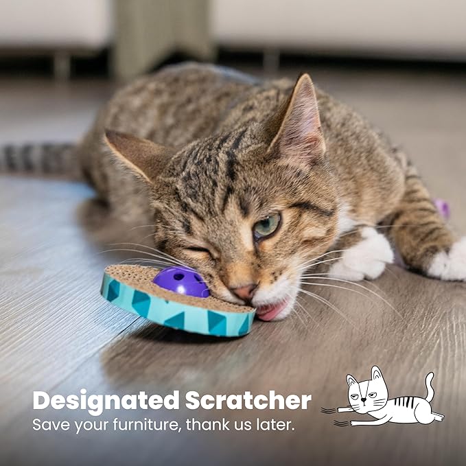 Catstages Spin and Scratch Toy for Cats