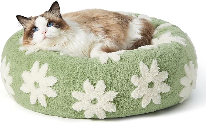 Lesure Cat Beds for Indoor Cats - Round Cat Bed Donut Small Dog Bed Calming Pet Beds, Cute Modern Beds with Jacquard Shaggy Plush & Anti Slip Bottom, 20 Inch, Green