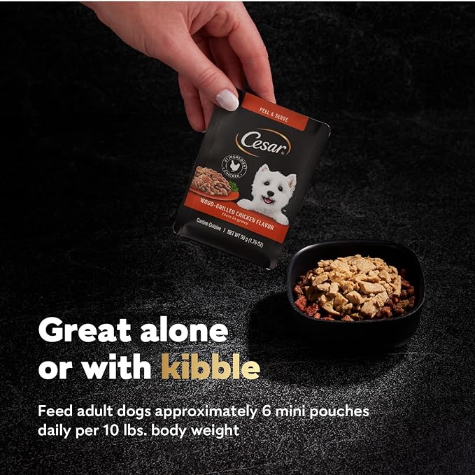 Cesar Filets in Gravy Wet Dog Food Wood-Grilled Chicken Flavor, 1.76 oz. Mini-Pouch, 20 Pack