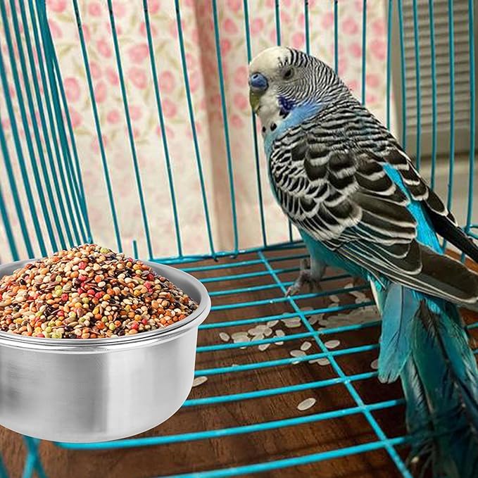 HUANJIAN Bird Feeder Dish Cup,20oz Pet Feeder Water,Chinchilla Food Bowl,Stainless Steel Bird Bowls with Clamp, (1pc-20oz Stainless Steel Bowl) (20oz)