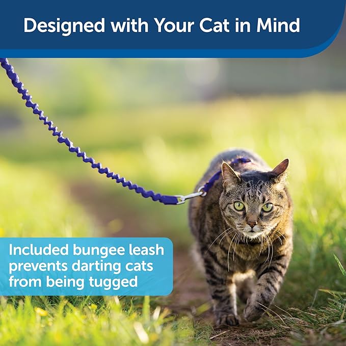 PetSafe Come with Me Kitty Harness and Bungee Leash - Medium, Royal Blue