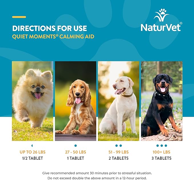 NaturVet Quiet Moments Calming Aid Dog Supplement, Helps Promote Relaxation, Reduce Stress, Storm Anxiety, Motion Sickness for Dogs (Quiet Moments Melatonin, 60 Soft Chews)