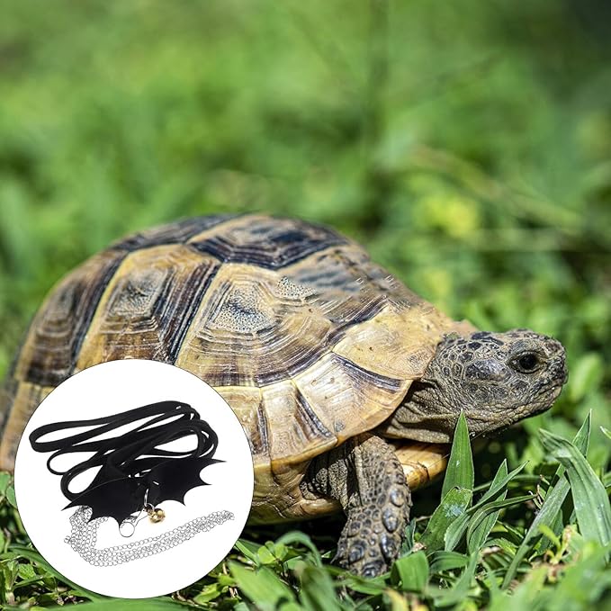 POPETPOP Turtle Harness and Leash with Wings: Tortoise Harness Turtle Leash Adjustable Turtle Walking Lead Control Rope Chest Collar for Pet Tortoise Turtle