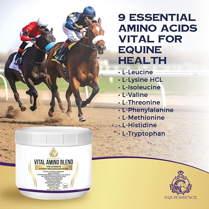 120 Day Supply - Vital Amino Blend - Horse Supplements - 9 Essential Amino Acids - No Fillers, No Sugar, No Soy - Horse Care - Horse Joint Supplement - Horse Hoof Supplements - Coat Care for Horses