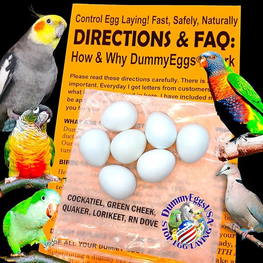Cockatiel Eggs Stop Laying! 7 Plastic Solid Fake Bird Eggs: Dove, Quaker, Green Cheek, USA