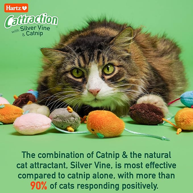 Cattraction with Silver Vine & Catnip Cat Toy Variety Pack, 20 Count