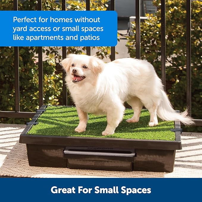 PetSafe Pet Loo Portable Dog Potty - Pet Toilet Alternative for Puppy Pads - Medium - Perfect for House Training - Easy-to-Clean Grass Mat