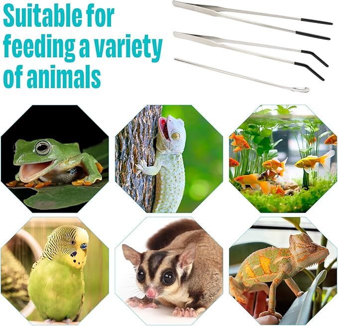 3 Pcs Stainless Steel Reptile Feeding Tool Set with 2 Rubber Tipped Tongs and 1 Crested Gecko Feeding Spoon, Crested Gecko Tank Accessories for Geckos, Lizards, Bearded Dragons, and Small Animals