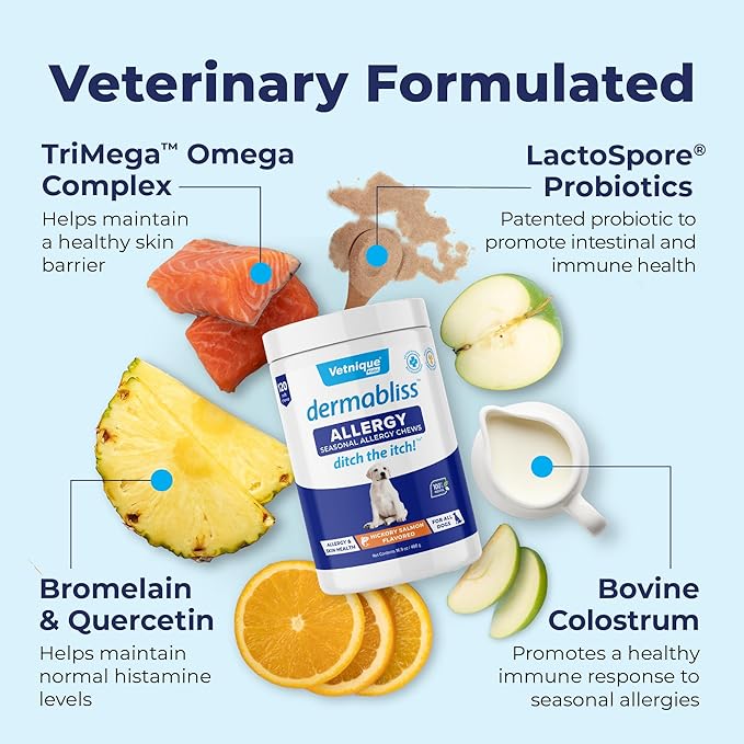 Vetnique Dermabliss Dog Allergy Relief & Immune Support Supplement Allergy Chews for Dogs Itching and Licking with Omega 3 Fish Oil & Probiotics for Itch Relief - Vet Recommended (120ct Chews)