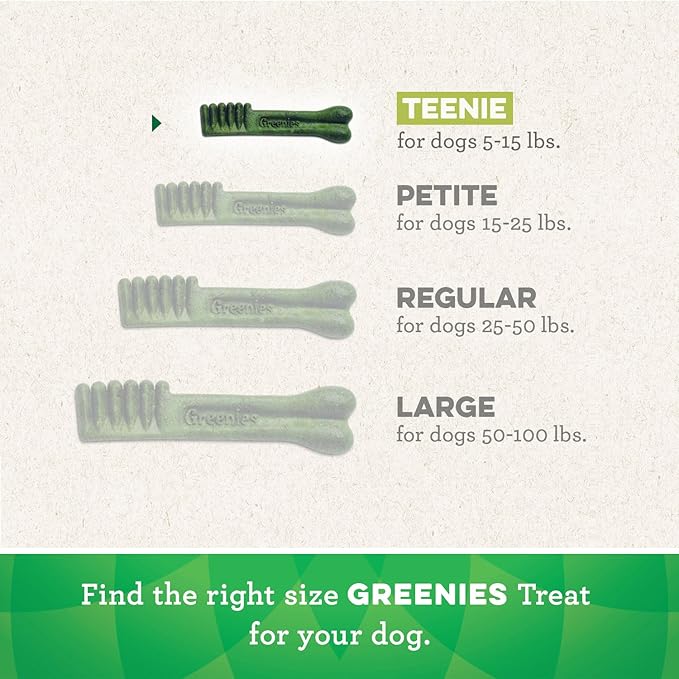 Greenies Pumpkin Spice Flavor Teenie Size, Veterinarian-Recommended for Dental Care, Dog Treat Chews, Limited Edition, 12 oz., Pack of 43
